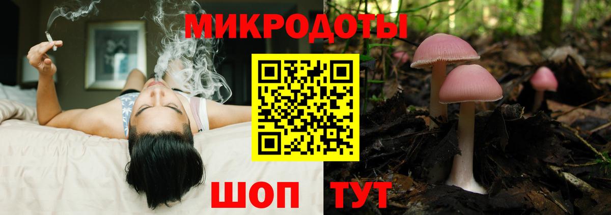 Лабытнанги  Псилоцибиновые грибы Psilocybe  Вход с VPN 